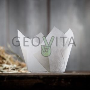 Форма тюльпан © GEOVITA - Одноразовая посуда от производителя!
