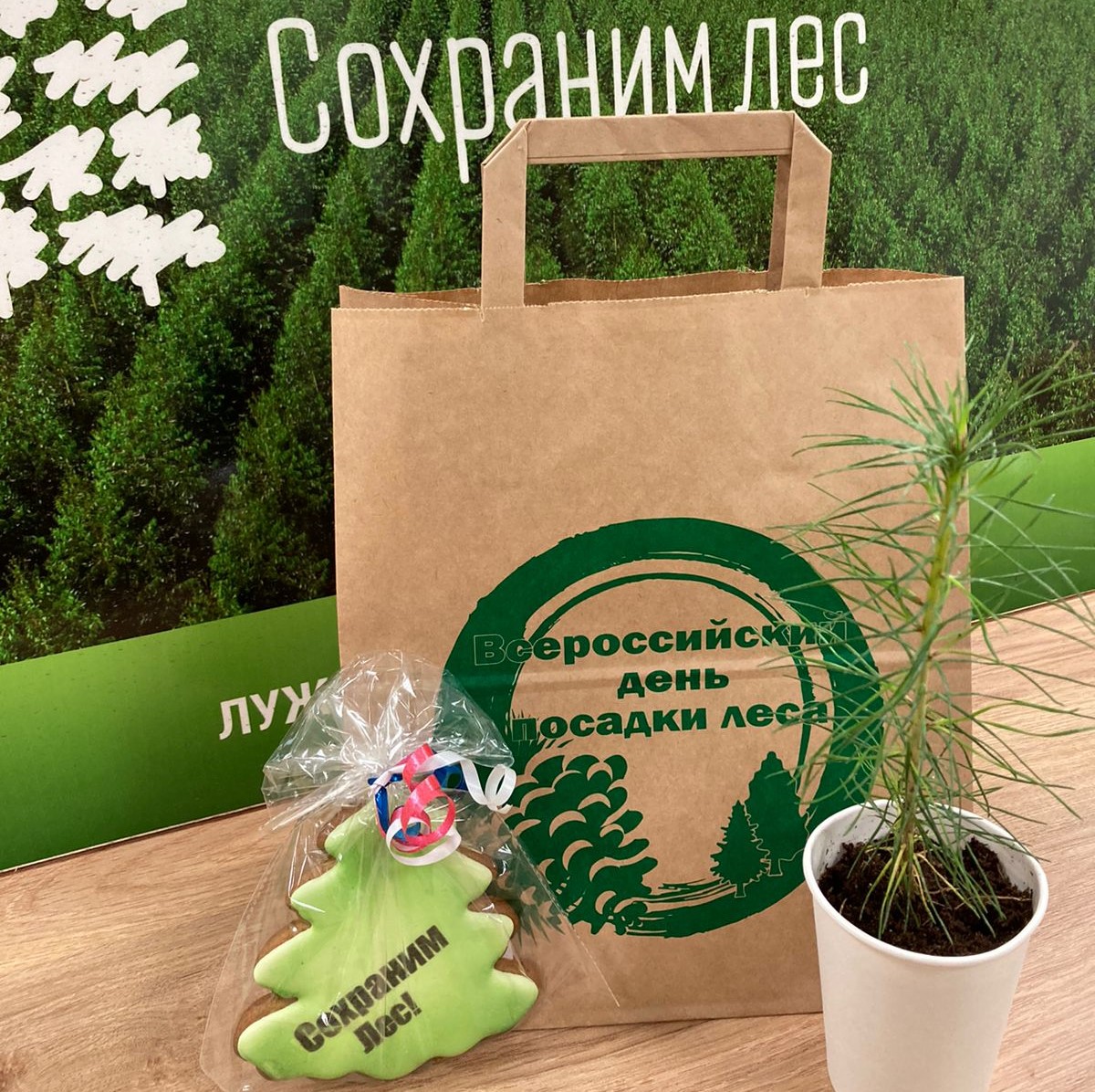 Всероссийская акция “Сохраним лес”