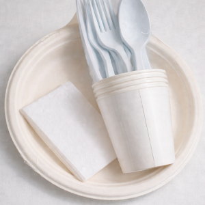 Набор для пикника с БИО-приборами &copy; GEOVITA - Одноразовая посуда от производителя!
